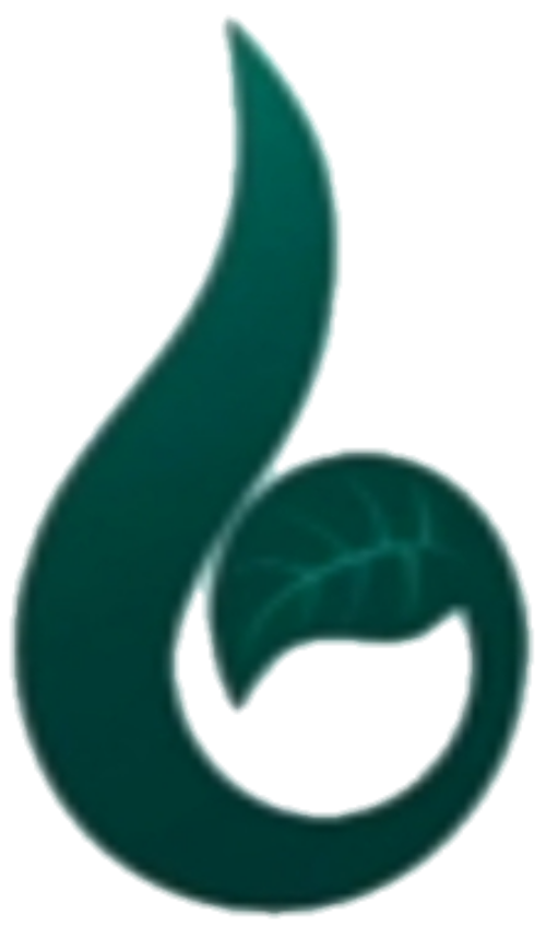 Baran logo